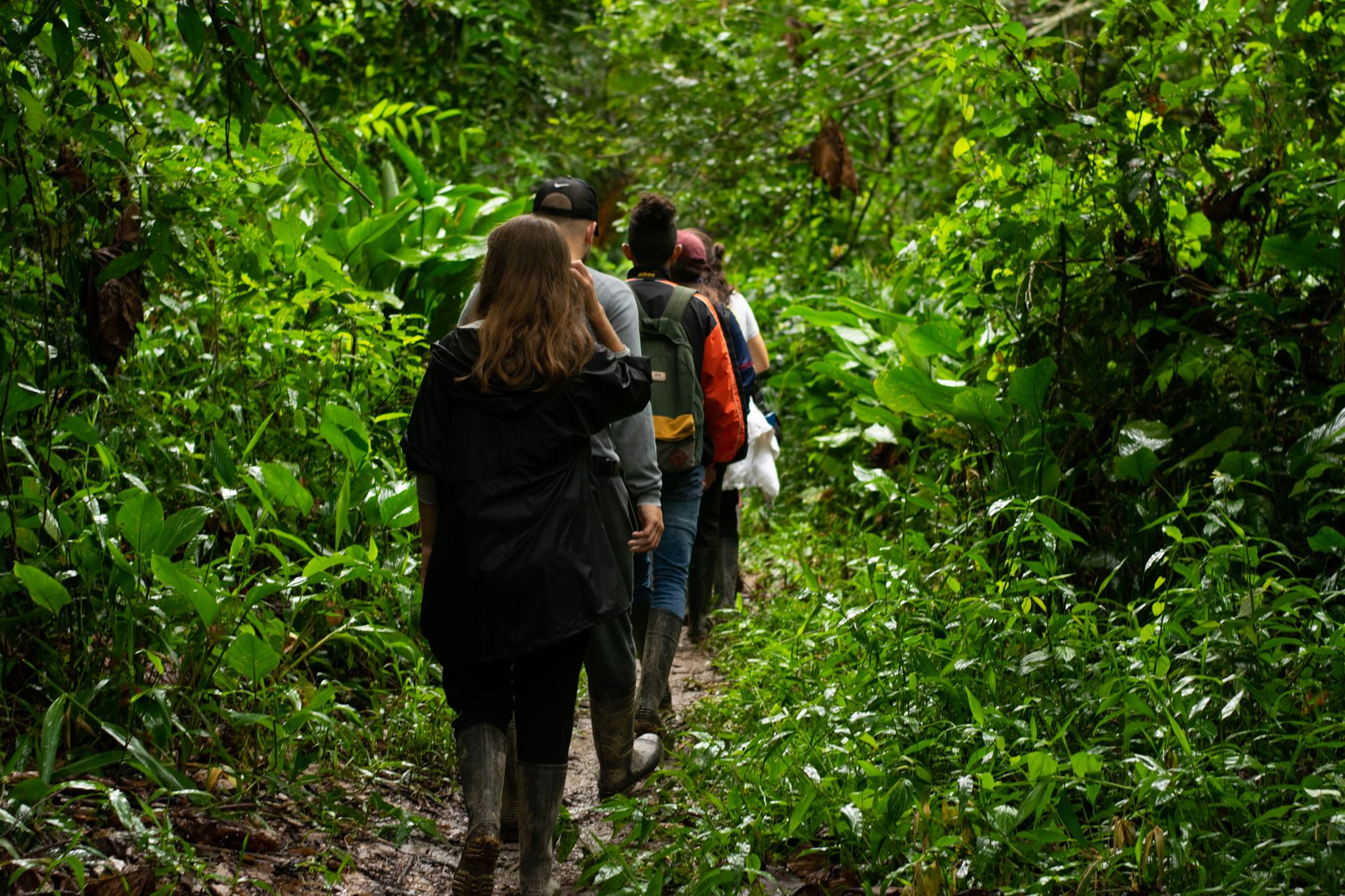 Expedição de ecoturismo no Brasil